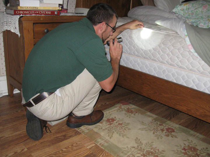 bed-bug-inspection