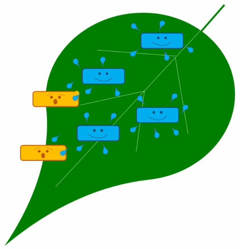 Introduction to Biological Control - Part 2: Biopesticides (0.75 credit in NY)