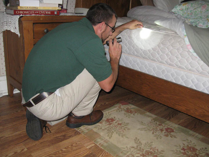 Bed Bugs Part 2 - Inspection (1 credit in NY)